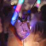 Toni Huette Am Riesserkopf فندق *