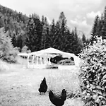 Toni Huette Am Riesserkopf ホテル *